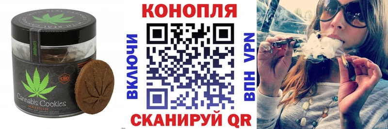 дарнет шоп Майский Canna-Cookies конопля