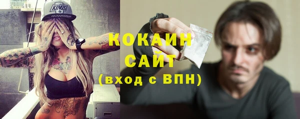 тгк Абаза