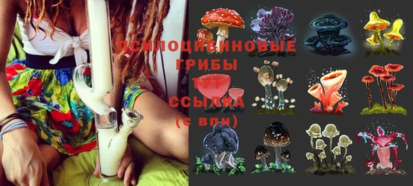 тгк Абаза