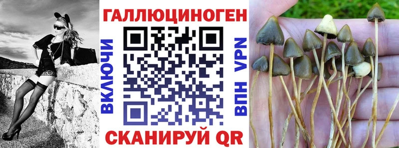 ОМГ ОМГ ССЫЛКА  Майский  Галлюциногенные грибы GOLDEN TEACHER  купить  