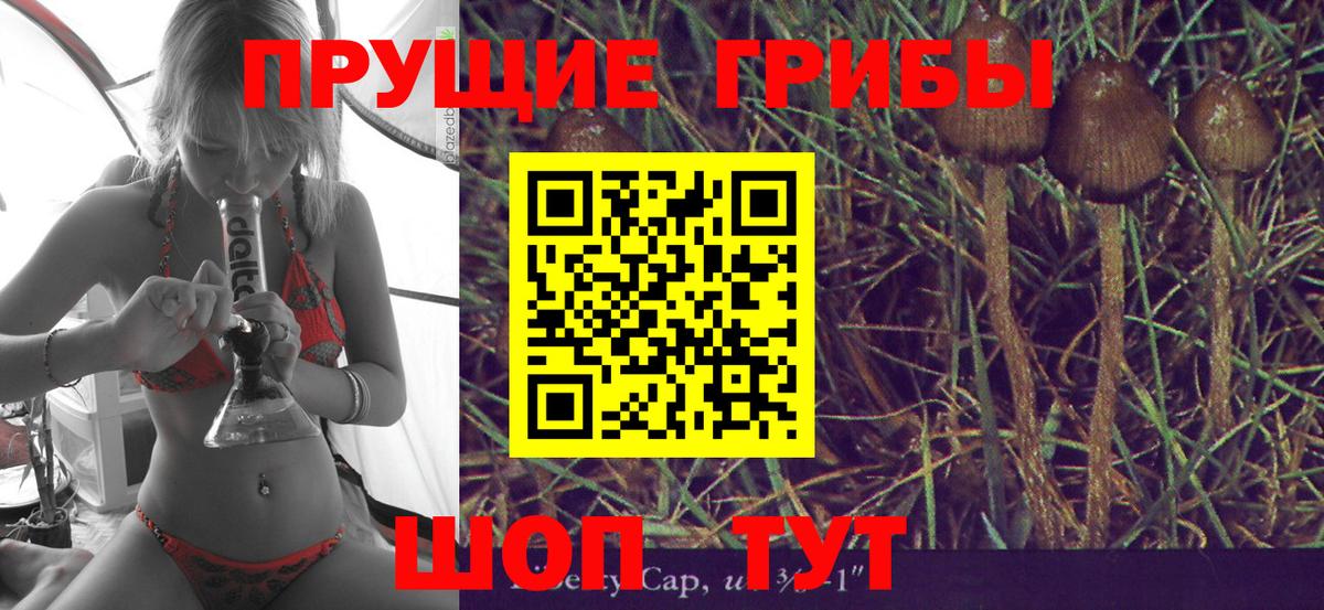 Майский  Галлюциногенные грибы MAGIC MUSHROOMS  Вход с VPN 